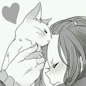 如果可以就养只猫吧