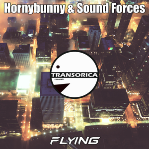 Flying (Original Mix)