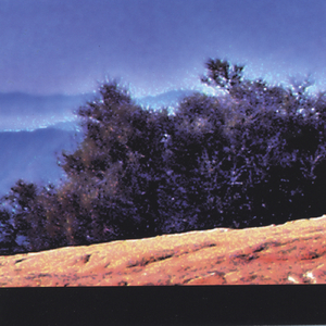 One For Eddie (Subversive Element)