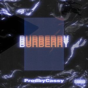 Burberry(Prod.Nemolikeflame)