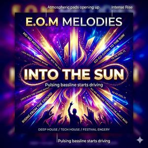 INTO THE SUN