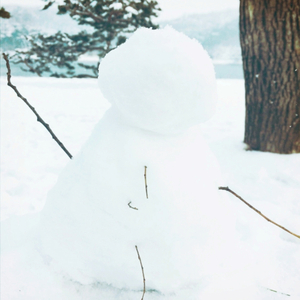 겨울에 만난 꿈 !