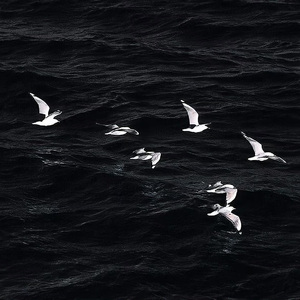 谁（在你眼中我是谁）