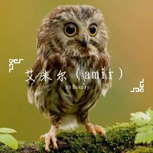 艾米尔（amir）