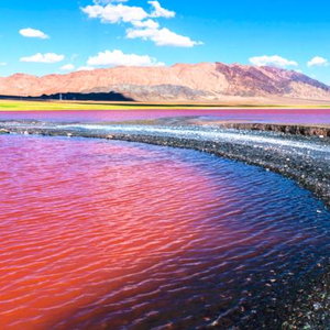 【Free】Guitar Type Beat-'Summer'