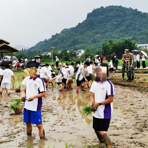 LZ孟菲斯（采样广西大师）
