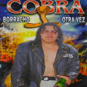 corrupcion