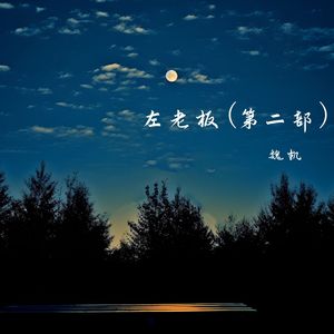 左老板(第二部)