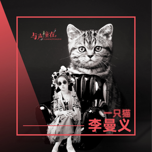一只猫