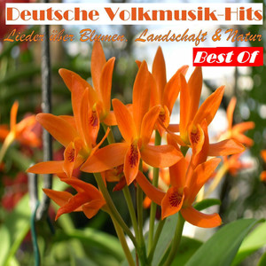 Heidenröslein (Sah ein Knab ein Röslein stehn)