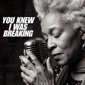 You Knew I Was Breaking
