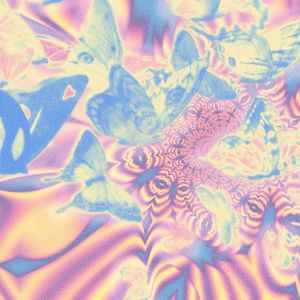 当黎明来临之际