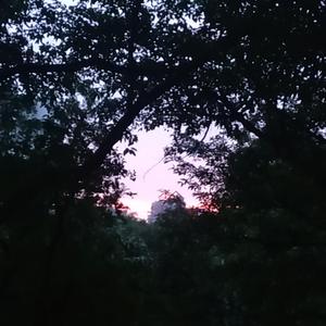 When the drops droped