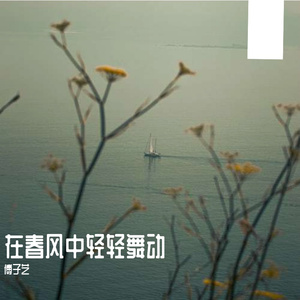 在春风中轻轻舞动