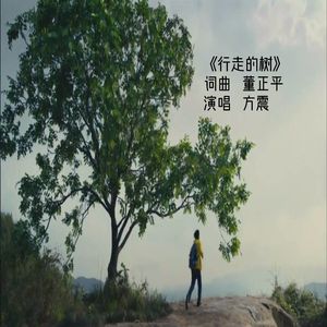 行走的树