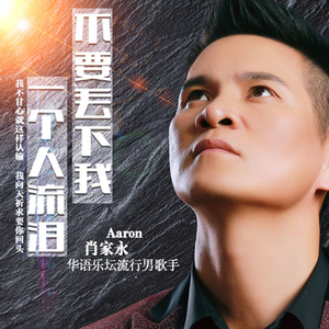 不要丢下我一个人泪流 (伴奏)