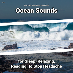 Ocean Sounds