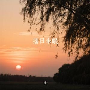落日未眠 (Remix)