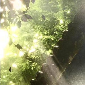 一抹春妆赴春光