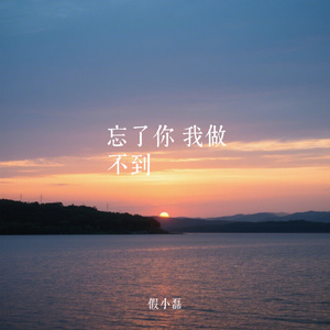 忘了你 我做不到