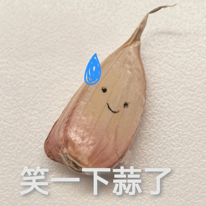 去动物园散步才是正经事.cover（翻自 My little airport）