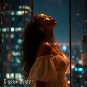 Glass Elevator