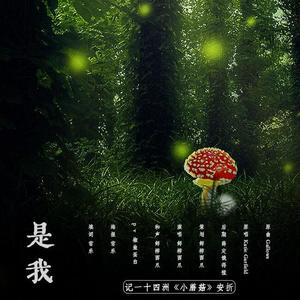是我——记一十四洲《小蘑菇》安折