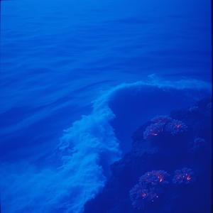 The Heart Wants to Know