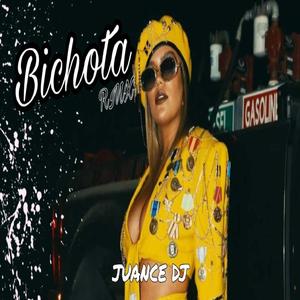 Bichota Remix Fiestero2021