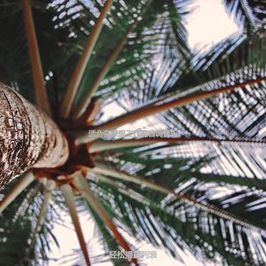 适合专注最好的音乐