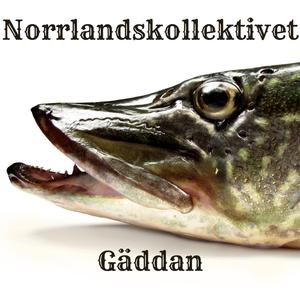 Gäddan