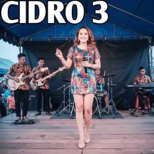 CiDRO 3