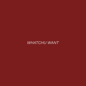 Whatchu Want (feat. SnoAngel)