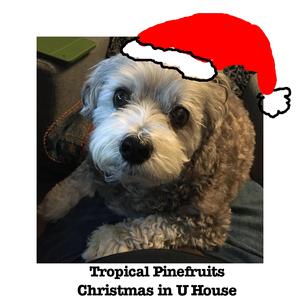 Public Domain Xmas Song