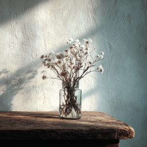 Softly Folding