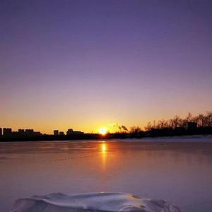 绿柳垂腰轻绕堤岸