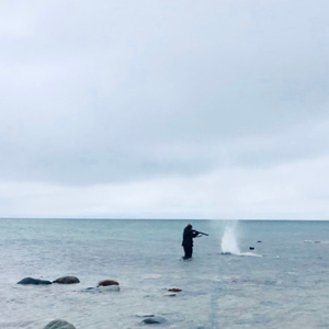 Pissin on spida webs