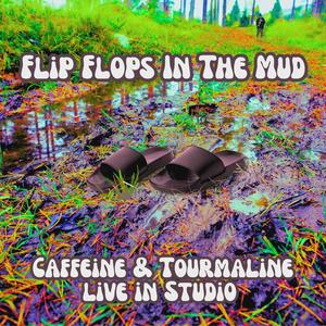 Flip Flops in the Mud