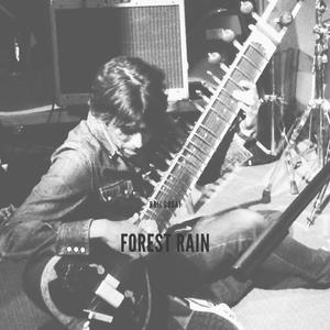 Forest Rain