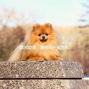 Number One Moods for Virtual Flashes