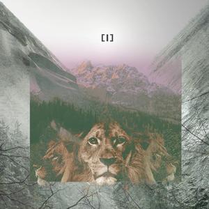 可以任意幻想的森林