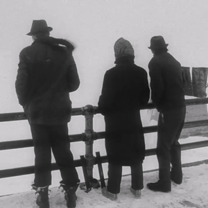 少女情怀总是诗