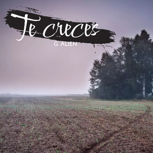 Te Creces
