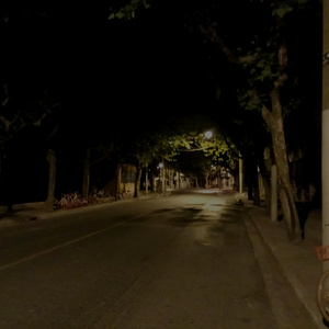 Sign 9 (demo)