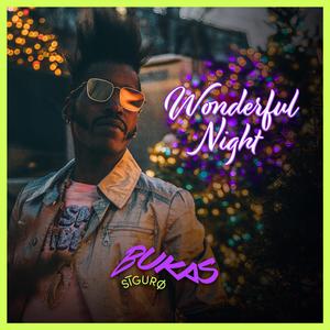 Wonderful Night