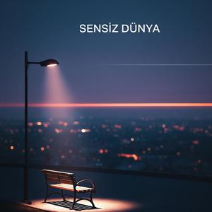 Sensiz Dünya