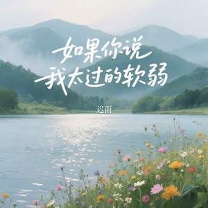 如果你说我太过的软弱