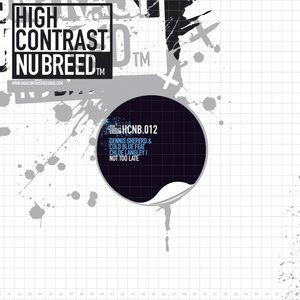 Not Too Late (Nhato Remix)