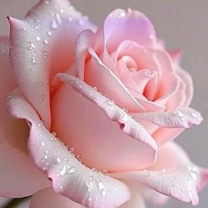 Time Can Be My Friend