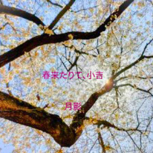 秒